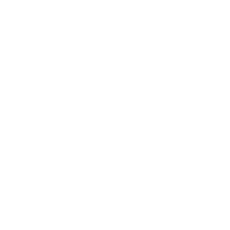 Certified Processes